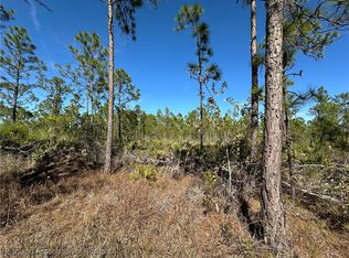1722 Oleaster Ave, Sebring, FL 33875