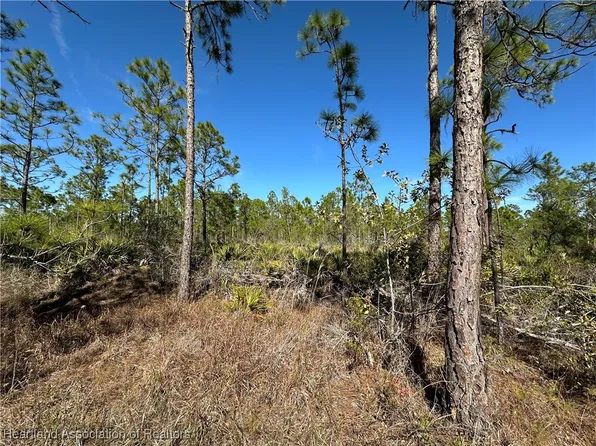 1722 Oleaster Ave, Sebring, FL 33875