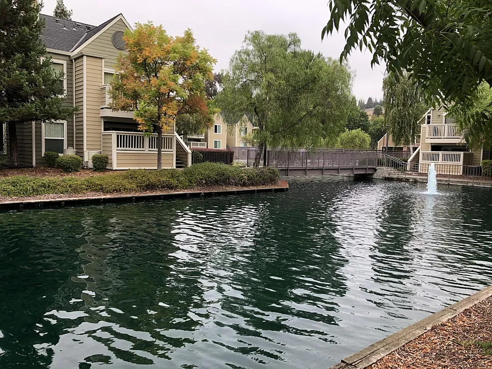 Outside pond