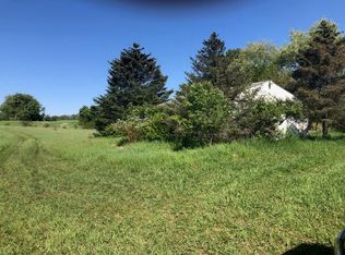 290 Rasmussen Dr, Trufant, MI 49347