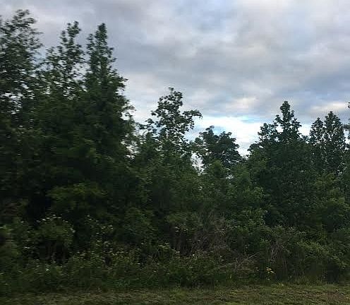 3rd image of 1731 White Fawn Ln