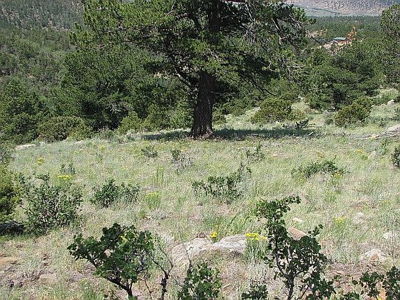 back top and ridge lot 394