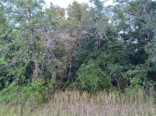 Horned Owl Rd LOT 1, Brooksville, FL 34614