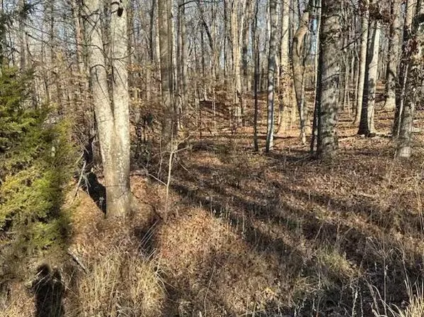 0 Scruggs Rd #15, Moneta, VA 24121