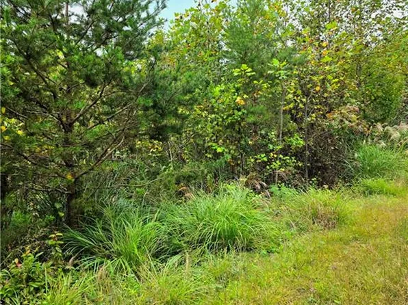 0 Holly Brook St, North Wilkesboro, NC 28659