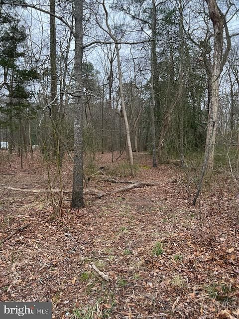 2nd image of LOT 1 Blackwater Rd