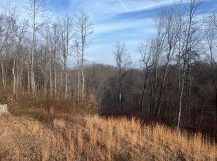 0 Upper Twin Creek Rd, Blue Creek, OH 45616