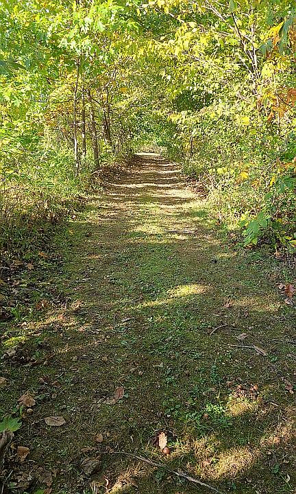 path along woods