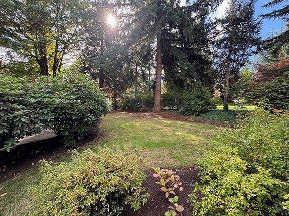 Front yard