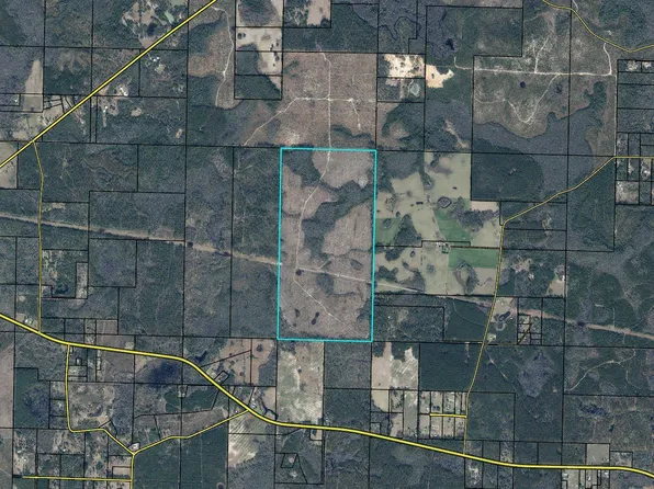 Wilderness Rd, Vernon, FL 32462