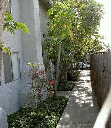 5th image of 1020 Opal St APT 4