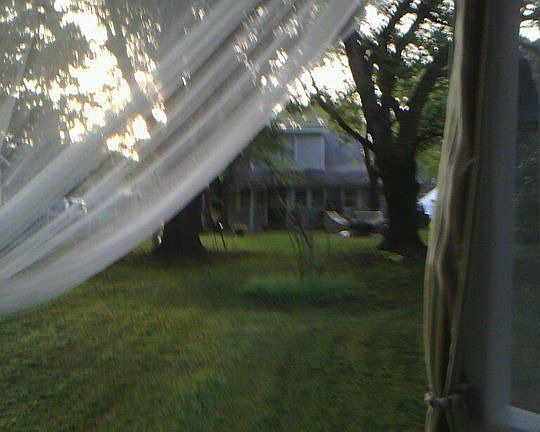 view from the gazebo
