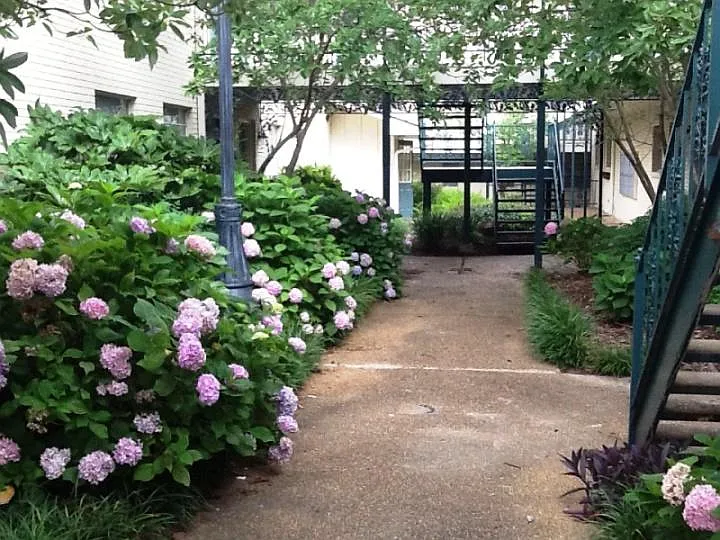 Belhaven Gardens — Photo 3