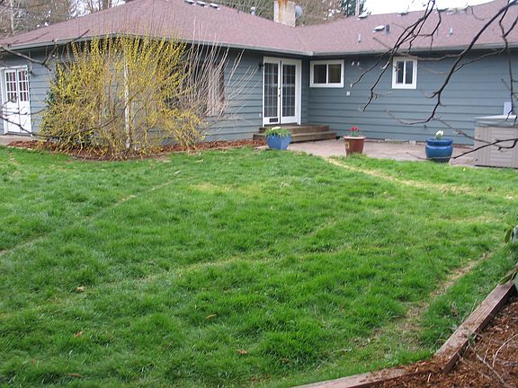 Private Backyard