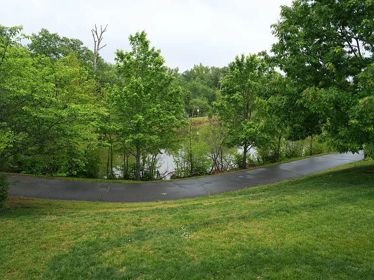 Pond view from deck