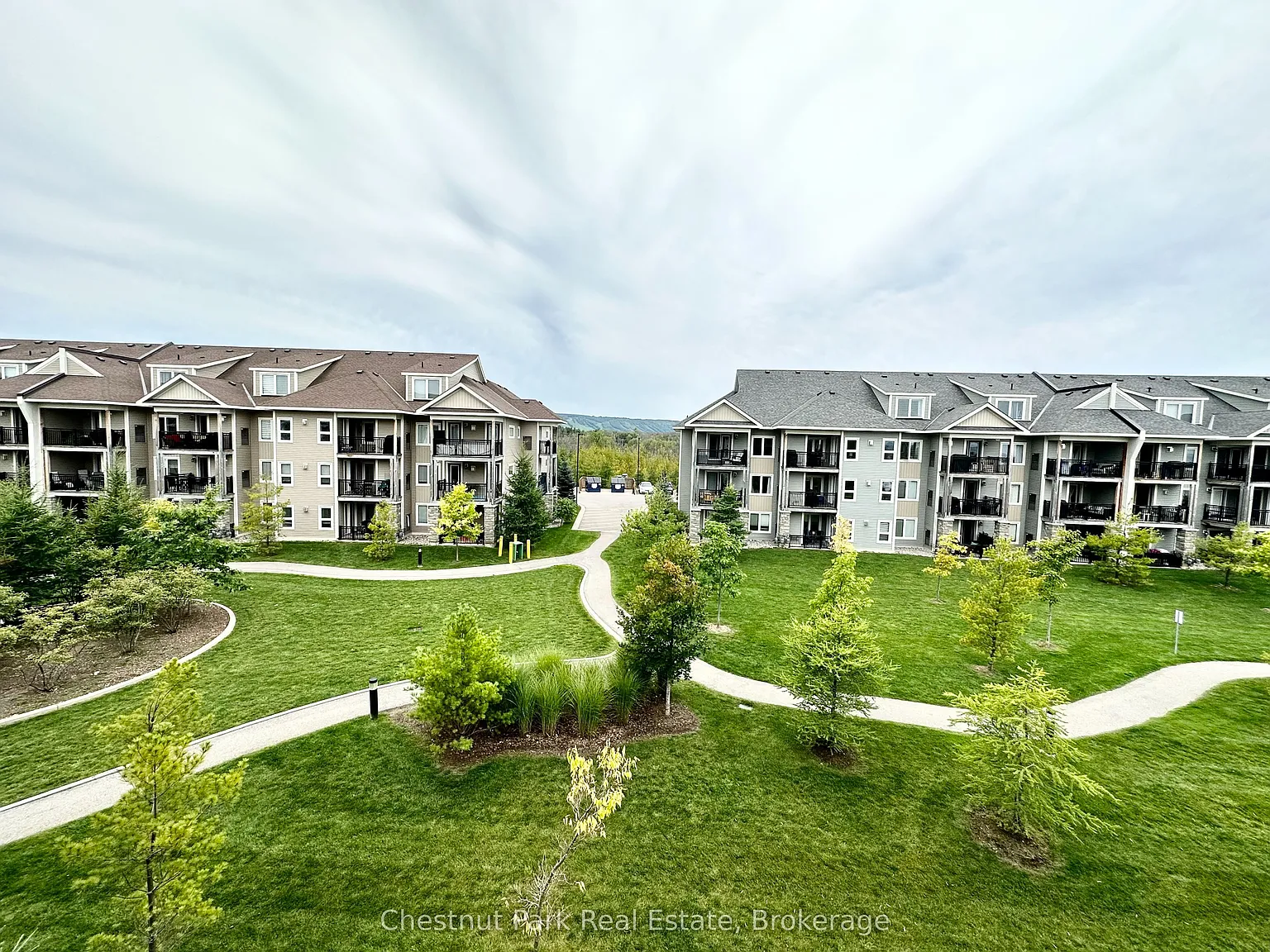 Wyldwood Cove — Photo 4