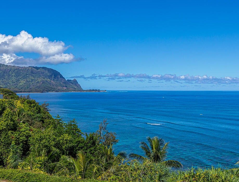 1st image of 5300 Ka Haku Rd #203