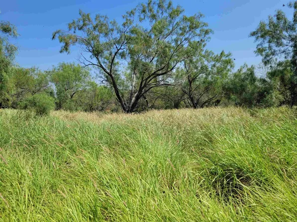 1001 Us Highway 359, Mirando City, TX 78369