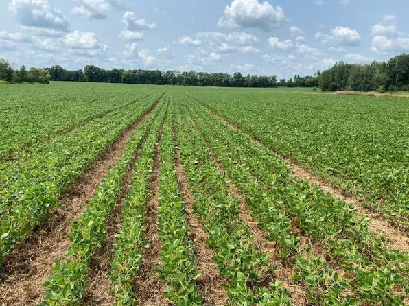 160th St, Foreston, MN 56330