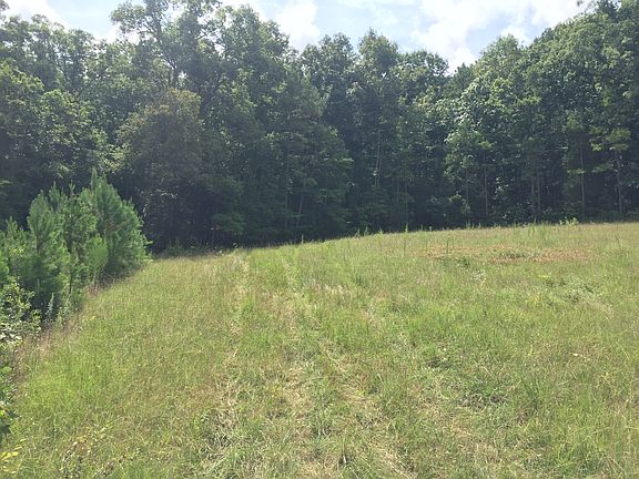 Very private 2.39 acres.