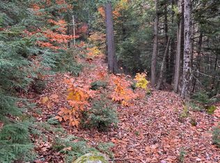 Map 228 Chestnut St LOT 3, Bristol, NH 03222