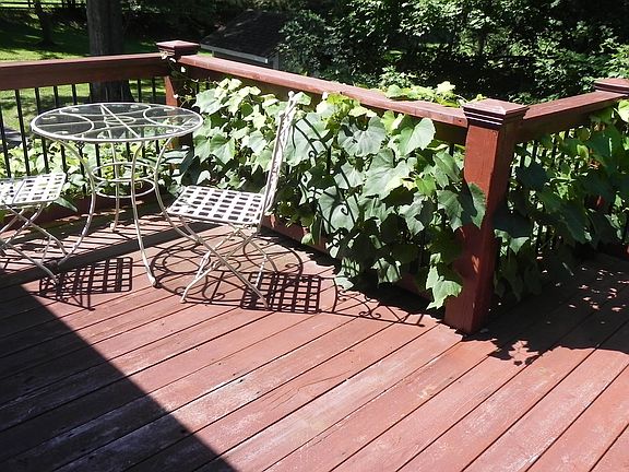 Rear Private Deck
