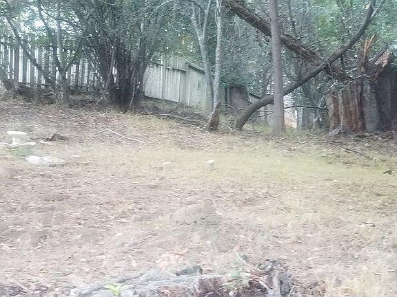 3rd image of 7475 Woodrow Dr