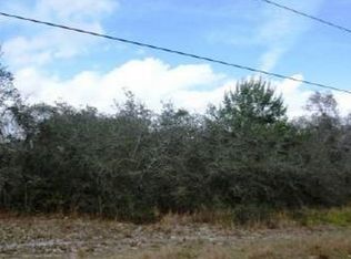 405 W Waterway Ave NW, Lake Placid, FL 33852