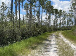 TRACT 79 Circle Block Loop, Perry, FL 32348