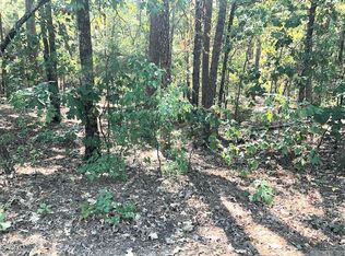 25 Lopez Cir, Hot Springs Village, AR 71909