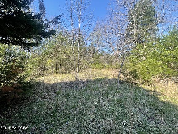 3rd image of 317 Mountain View Dr