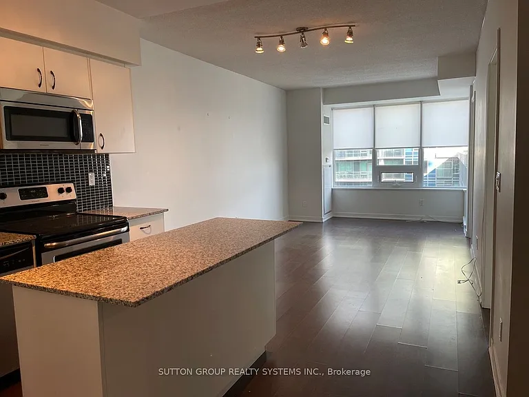 59 E Liberty St #1102 — Photo 7