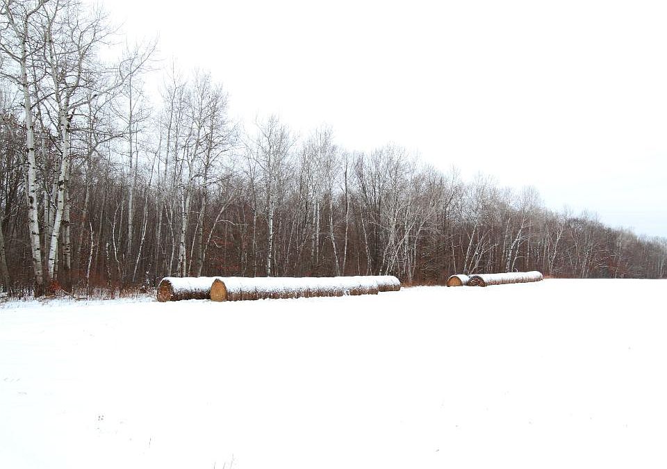 1st image of Xxx Bean Road Hinckley Twp