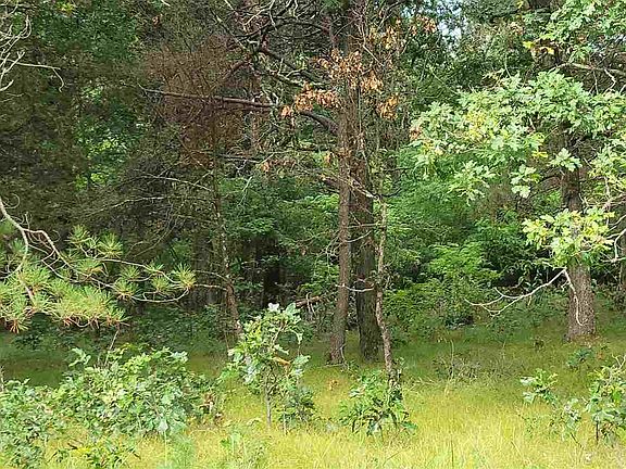 3rd image of N6899 16th Ave