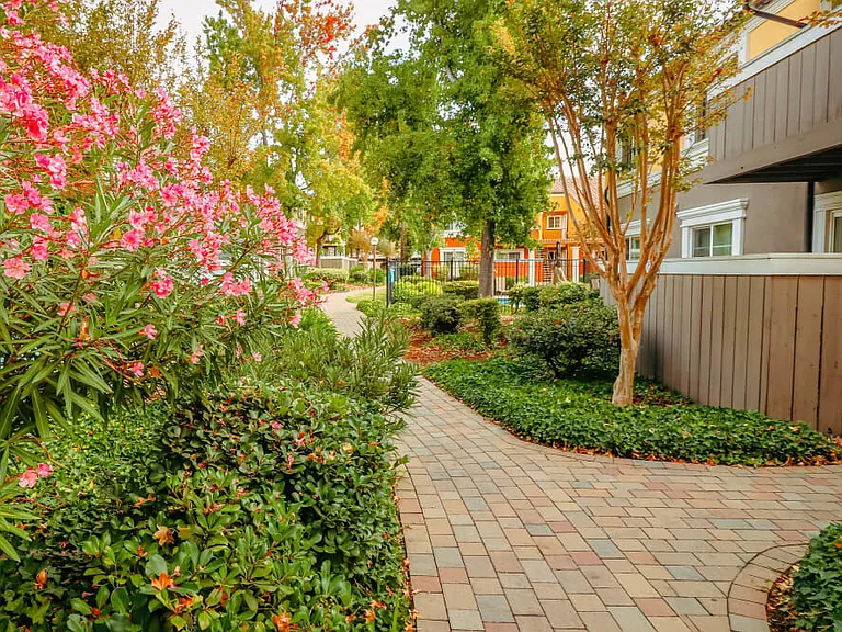 Peppertree Apartments — Photo 51