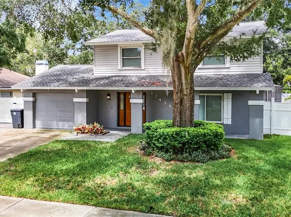 12438 CARDIFF DRIVE, TAMPA, FL 33625