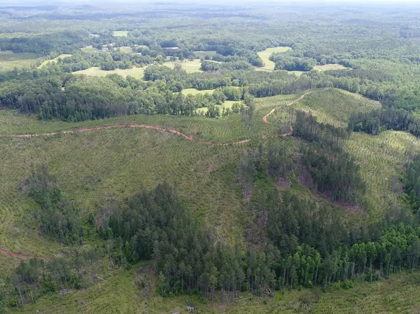 0 David Rd, Goodwater, AL 35072