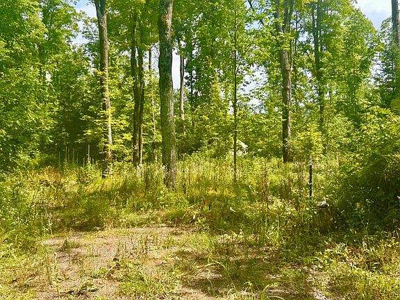 4th image of 3630 Bradley Lake Rd