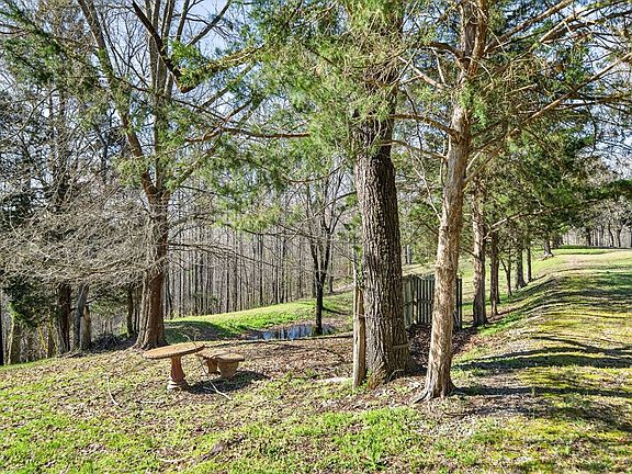 5th image of 676 Sunny Point Rd