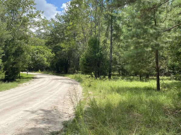 0 162nd Ter, Mc Alpin, FL 32062