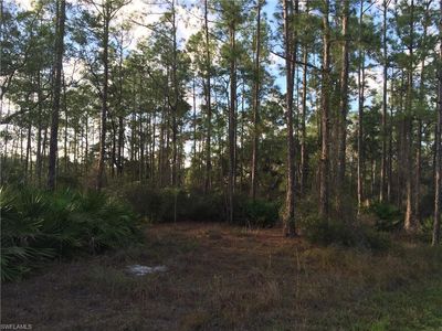 2211 Canton Ave, Alva, FL, 33920
