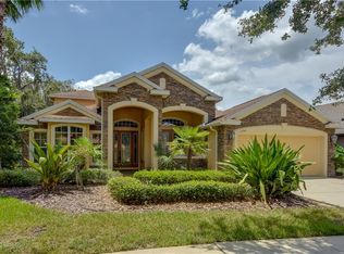 15741 Starling Water Dr, Lithia, FL 33547