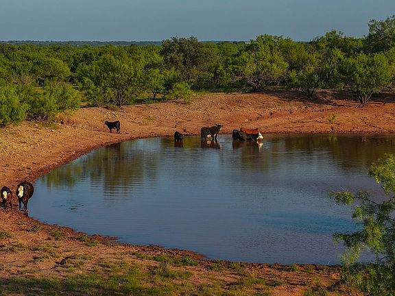 The Rock House Pasture for sale in Shackelford County, TX