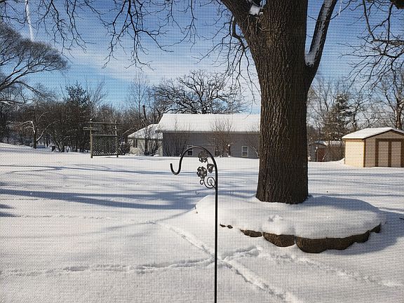 back yard