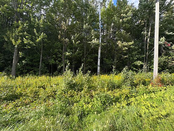 2nd image of 0 County Route 36