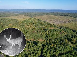 Mosley Springs Rd, Lyerly, GA 30730