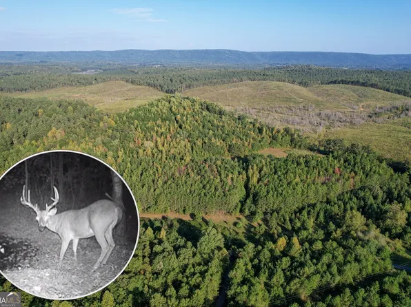 Mosley Springs Rd, Lyerly, GA 30730
