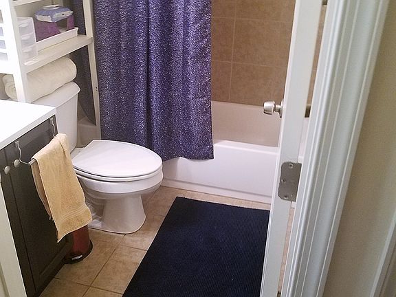 1 of 3, all the same