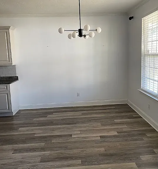 806 Richards Ct — Photo 11