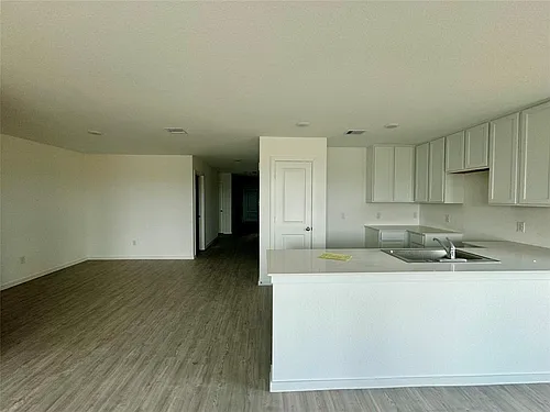 26826 Zebra Grass Dr Photo 1